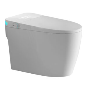 PP and Ceramic Home Smart Toilet